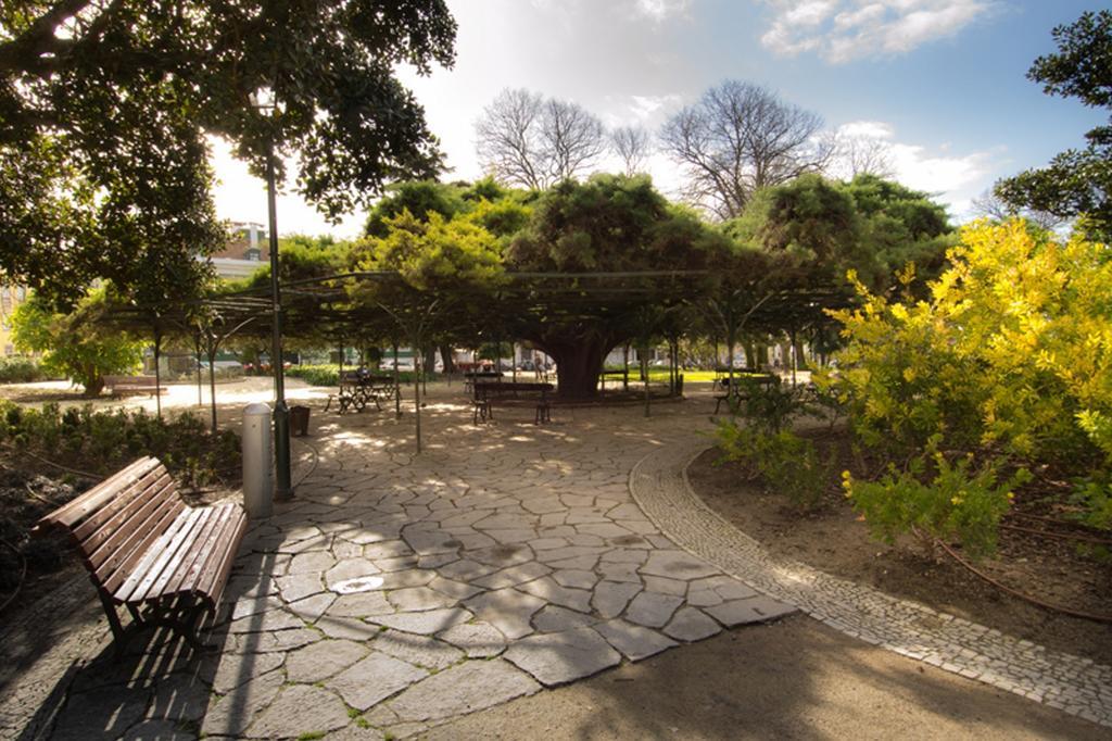 Alegria Center Apartments Lisbon Bilik gambar